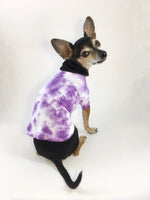 Swagadelic Purple Tie Dye Tee - Cute Chihuahua named Hugo in sitting position with his back towards the camera and looking back, wearing the hand tie-dyed tee with Purple