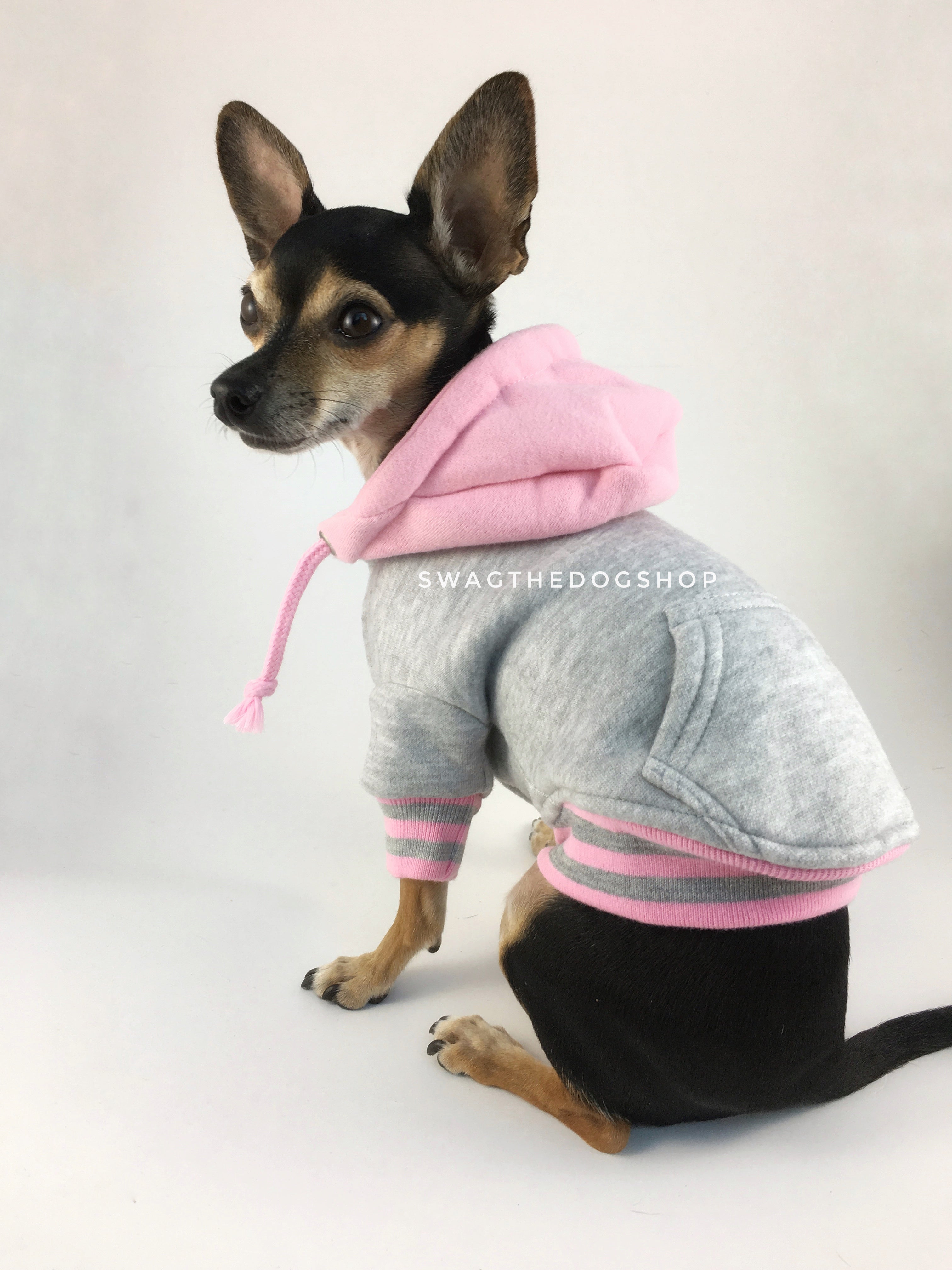 Parklife Pink and Gray Sports Hoodie - Side and Back View of Cute Chihuahua Dog Wearing Hoodie. Pink and Gray Sports Hoodie