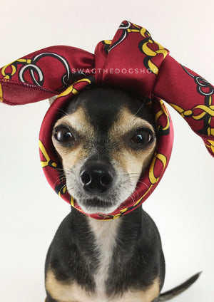 24K Burgundy Gold Swagdana Scarf - Bust of Cute Chihuahua Wearing Swagdana Scarf as Headband. Dog Bandana. Dog Scarf