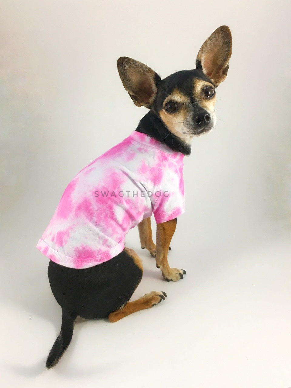Swagadelic Pink Tie Dye Tee - Cute Chihuahua named Hugo in sitting position with his back towards the camera and looking back, wearing the hand tie-dyed tee with Pink