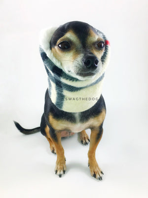 Furberry Swagsnood - Full Front View of Hugo, Cute Chihuahua Dog sitting Wearing Cream Burberry plaid Print Fleece Dog Snood covering his ears and cream faux fur peeking out