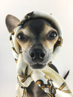 24K Vanilla Gold Swagdana Scarf - Bust of Cute Chihuahua Wearing Swagdana Scarf as Headscarf. Dog Bandana. Dog Scarf