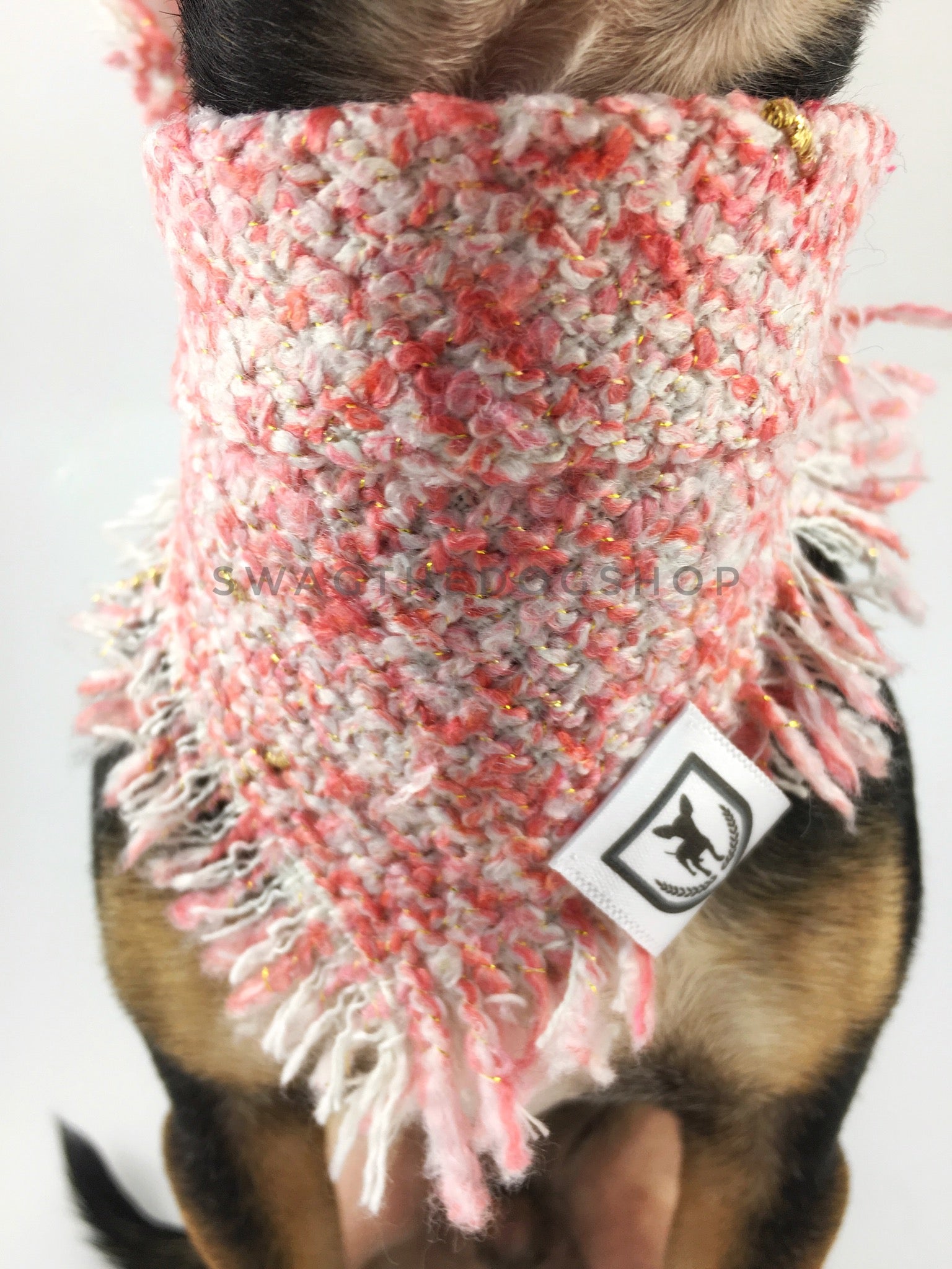 Fairy Pink Tweed Swagdana with Frayed Edges - Neck Close-up of Cute Chihuahua Wearing Swagdana. Dog Bandana. Dog Scarf
