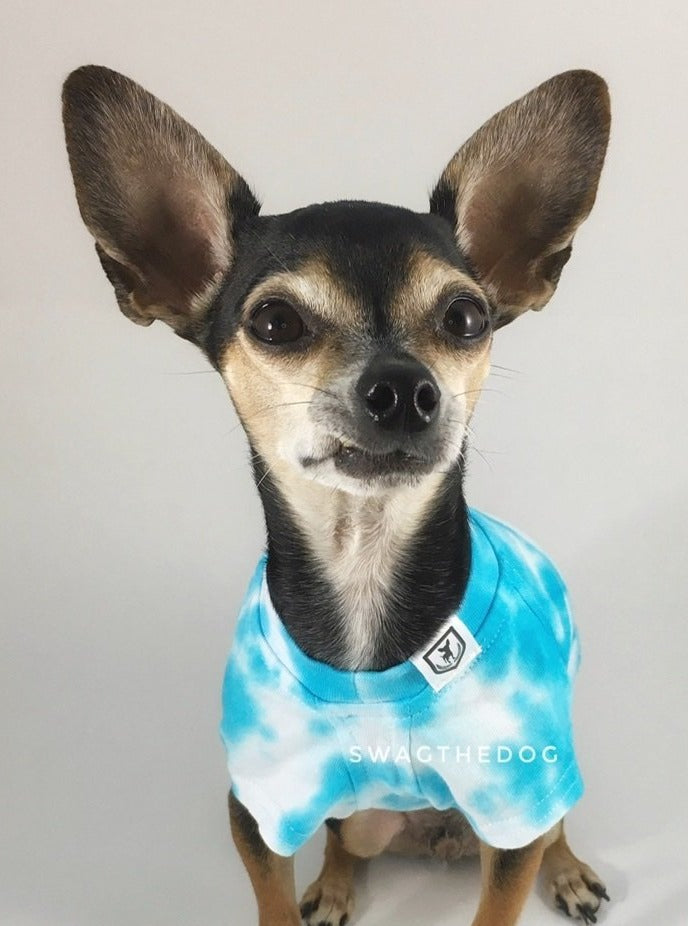 Swagadelic Sky Blue Tie Dye Tee - Close-up frontal of cute Chihuahua named Hugo in sitting position, wearing the hand tie-dyed tee with Sky Blue