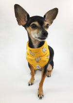 Lorenzo Llama Yellow Swagdana Scarf - Full Front View of Cute Chihuahua Wearing Swagdana Scarf as Bandana. Dog Bandana. Dog Scarf.
