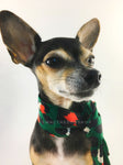 Fierce Forest Green with Red Swagdana Scarf - Bust of Cute Chihuahua Wearing Swagdana Scarf as Neckerchief. Dog Bandana. Dog Scarf