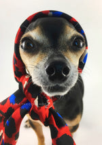Fierce Vibrant Red with Blue Swagdana Scarf - Bust of Cute Chihuahua Wearing Swagdana Scarf as Headscarf. Dog Bandana. Dog Scarf