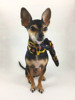 Leopard Sunflower Yellow Swagdana Scarf - Full Front View of Cute Chihuahua Wearing Swagdana Scarf as Neckerchief. Dog Bandana. Dog Scarf.