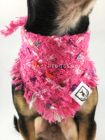 Hot Pink Tweed Swagdana with Frayed Edges - Neck Close-up of Cute Chihuahua Wearing Swagdana. Dog Bandana. Dog Scarf