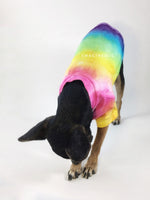 Swagadelic Pride Ombré Tie Dye Tee - Cute Chihuahua named Hugo in downward dog position, wearing the hand tie-dyed tee with Pink, Yellow, Green, Sky Blue and Purple