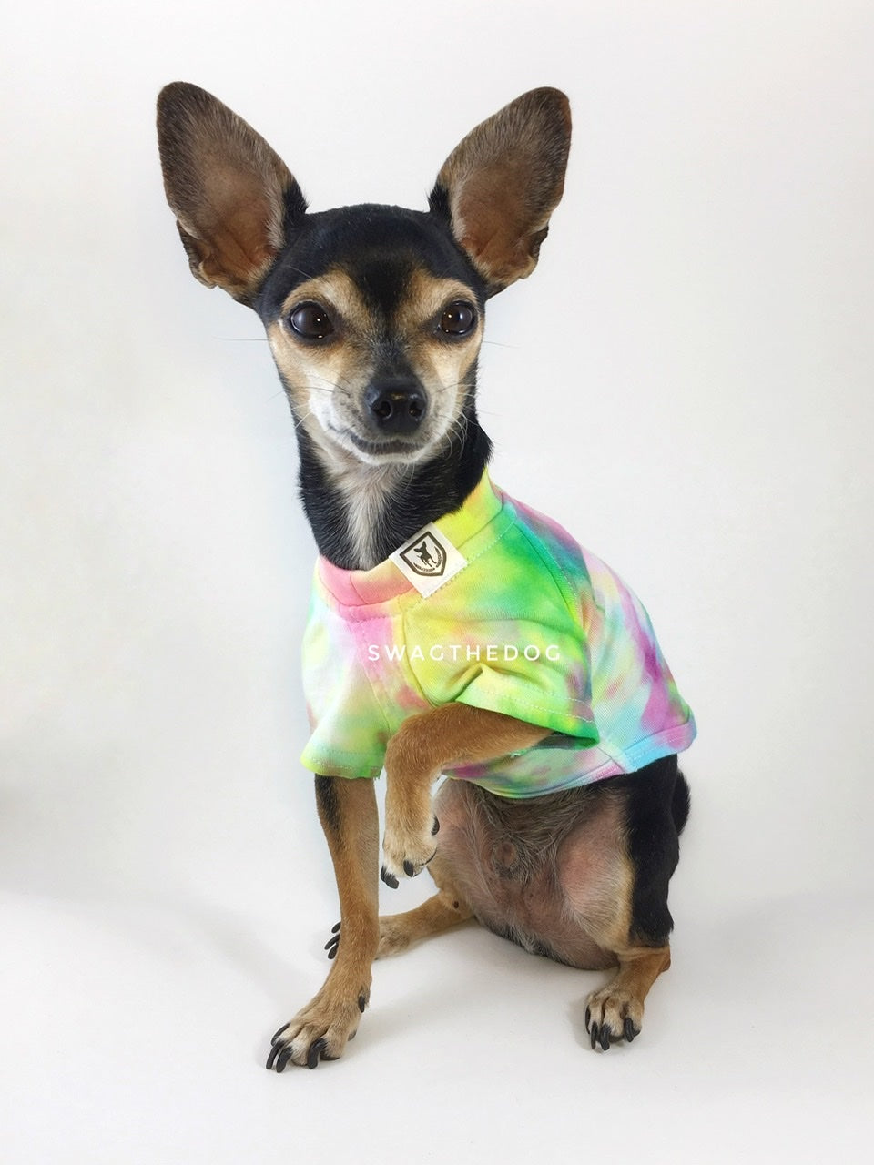 Swagadelic Hipster Tie Dye Tee - Frontal of cute Chihuahua named Hugo in sitting position with his one paw up, wearing the hand tie-dyed tee with Pink, Yellow and Sky Blue