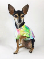 Swagadelic Hipster Tie Dye Tee - Frontal of cute Chihuahua named Hugo in sitting position with his one paw up, wearing the hand tie-dyed tee with Pink, Yellow and Sky Blue