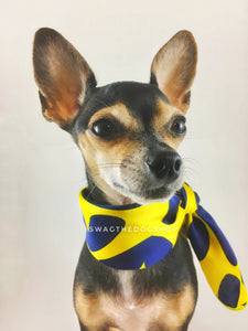 Full of Heart Yellow Swagdana Scarf - Bust of Cute Chihuahua Wearing Swagdana Scarf as Neckerchief. Dog Bandana. Dog Scarf.