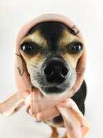 Lorenzo Llama Soft Pink Swagdana Scarf - Bust of Cute Chihuahua Wearing Swagdana Scarf as Headscarf. Dog Bandana. Dog Scarf.