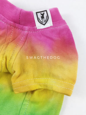 Swagadelic Pride Ombré Tie Dye Tee - Close-up of product front view. The hand tie-dyed tee with Pink, Yellow, Green, Sky Blue and Purple