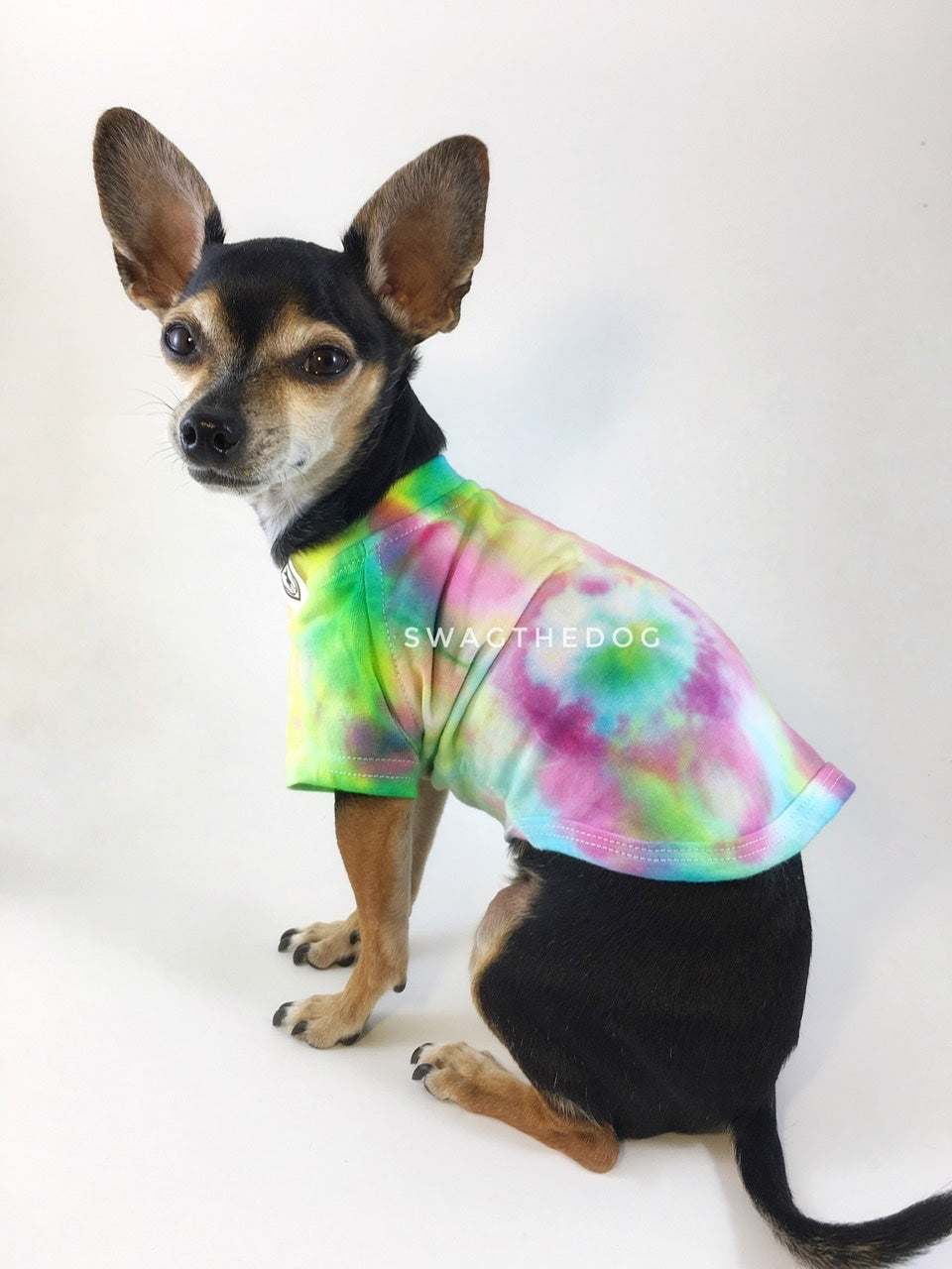 Swagadelic Hipster Tie Dye Tee - Cute Chihuahua named Hugo in sitting position with his back towards the camera and looking back, wearing the hand tie-dyed tee with Pink, Yellow and Sky Blue