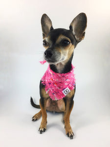 Hot Pink Tweed Swagdana with Frayed Edges - Full Front View of Cute Chihuahua Wearing Swagdana. Dog Bandana. Dog Scarf