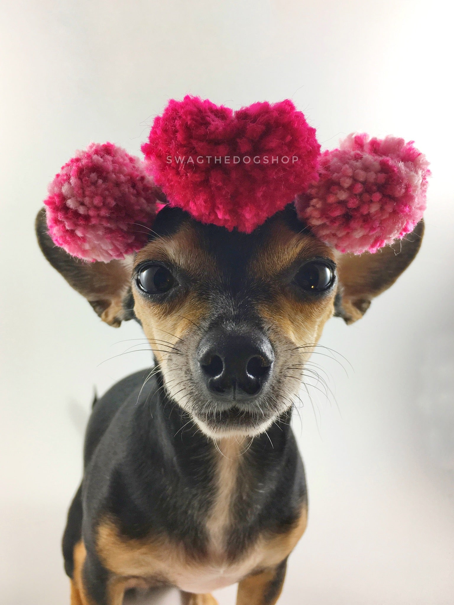 Heart Pomping Crown