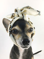 24K Vanilla Gold Swagdana Scarf - Bust of Cute Chihuahua Wearing Swagdana Scarf as Headband. Dog Bandana. Dog Scarf