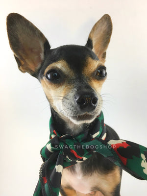 Fierce Forest Green with Red Swagdana Scarf - Bust of Cute Chihuahua Wearing Swagdana Scarf as Neck Scarf. Dog Bandana. Dog Scarf