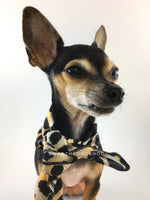 Fierce Beige with Yellow Swagdana Scarf - Bust of Cute Chihuahua Wearing Swagdana Scarf as Neckerchief Tied At The Front. Dog Bandana. Dog Scarf