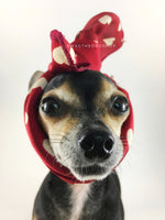 Full of Heart Red Swagdana Scarf - Bust of Cute Chihuahua Wearing Swagdana Scarf as Headband. Dog Bandana. Dog Scarf.
