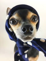 Polka Dot Navy Swagdana Scarf - Bust of Cute Chihuahua Wearing Swagdana Scarf as Headscarf. Dog Bandana. Dog Scarf.