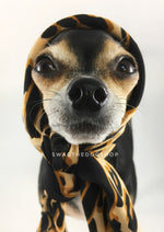 Leopard Ivory Cream Swagdana Scarf - Bust of Cute Chihuahua Wearing Swagdana Scarf as Headscarf. Dog Bandana. Dog Scarf.