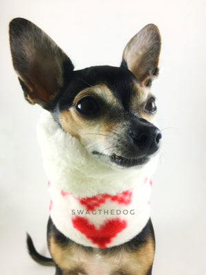 Full of Heart Swagsnood - Close-up View of Hugo's face, Cute Chihuahua Dog Sitting Wearing full of heart print fleece dog snood. Cream faux fur rolled up 1/3 of the snood and 2/3 with full of heart print fleece