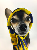 Full of Heart Yellow Swagdana Scarf - Bust of Cute Chihuahua Wearing Swagdana Scarf as Headscarf. Dog Bandana. Dog Scarf.