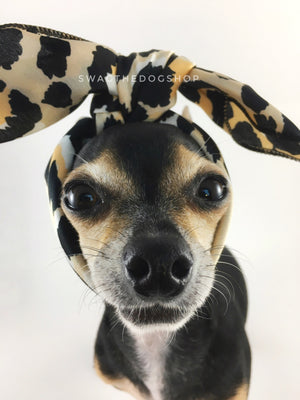 Fierce Beige with Yellow Swagdana Scarf - Bust Cute Chihuahua Wearing Swagdana Scarf as Headband. Dog Bandana. Dog Scarf