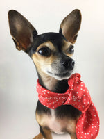 Polka Itty Bitty Coral Swagdana Scarf - Bust of Cute Chihuahua Wearing Swagdana Scarf as Neckerchief. Dog Bandana. Dog Scarf.