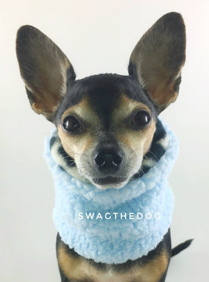 Gray Snow Leopard Swagsnood - Full Front View of Hugo, Cute Chihuahua dog sitting wearing blue sherpa side