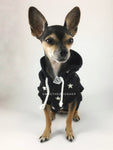 All-Star Black Hoodie - Full Front View of Cute Chihuahua Dog Wearing Hoodie. Black and White Star Hoodie