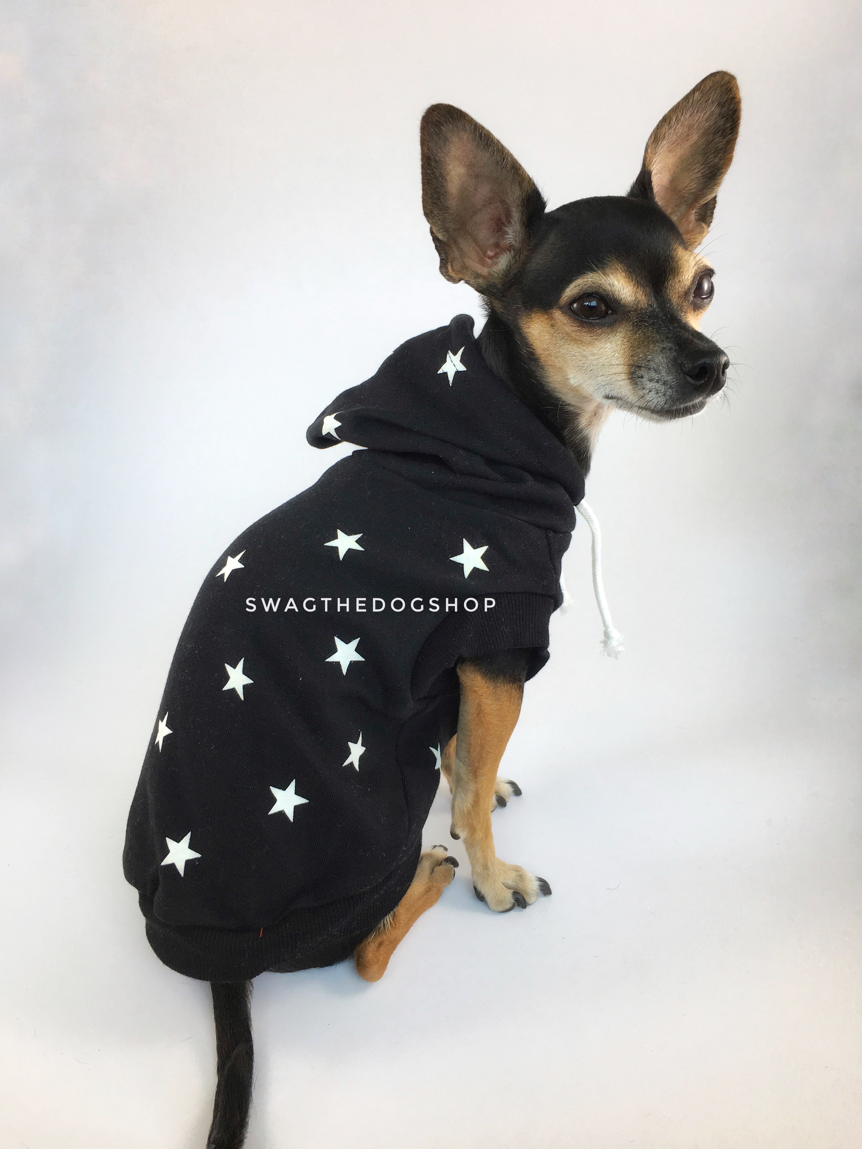 All-Star Black Hoodie - Cute Chihuahua Dog Wearing Hoodie Side View. Black and White Star Hoodie