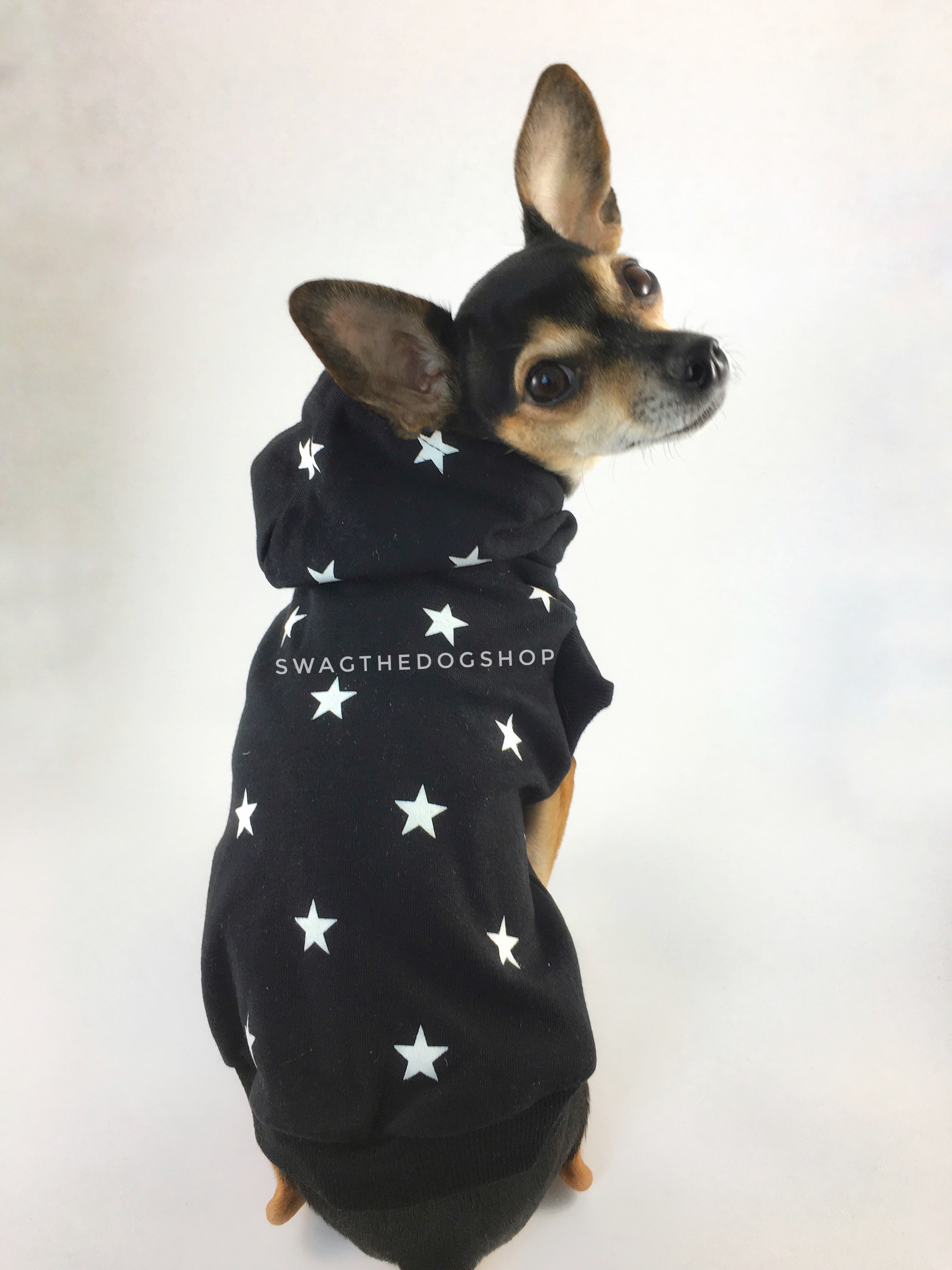 All-Star Black Hoodie - Cute Chihuahua Dog Wearing Hoodie Looking Back. Black and White Star Hoodie