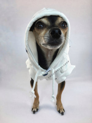 All-Star White Hoodie - Front View of Cute Chihuahua Dog Wearing Hoodie with Hood Up. White and Blue Star Hoodie