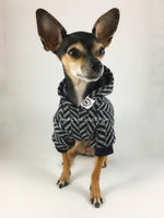 Après Ski Black Hoodie - Cute Chihuahua Dog Wearing Hoodie Full Front View. Black and Gray Herringbone Hoodie