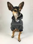Après Ski Black Hoodie - Cute Chihuahua Dog Wearing Hoodie Full Front View. Black and Gray Herringbone Hoodie