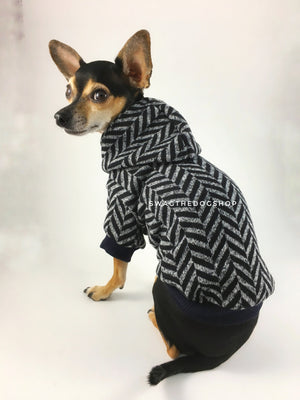 Après Ski Black Hoodie - Cute Chihuahua Dog Wearing Hoodie Back View. Black and Gray Herringbone Hoodie