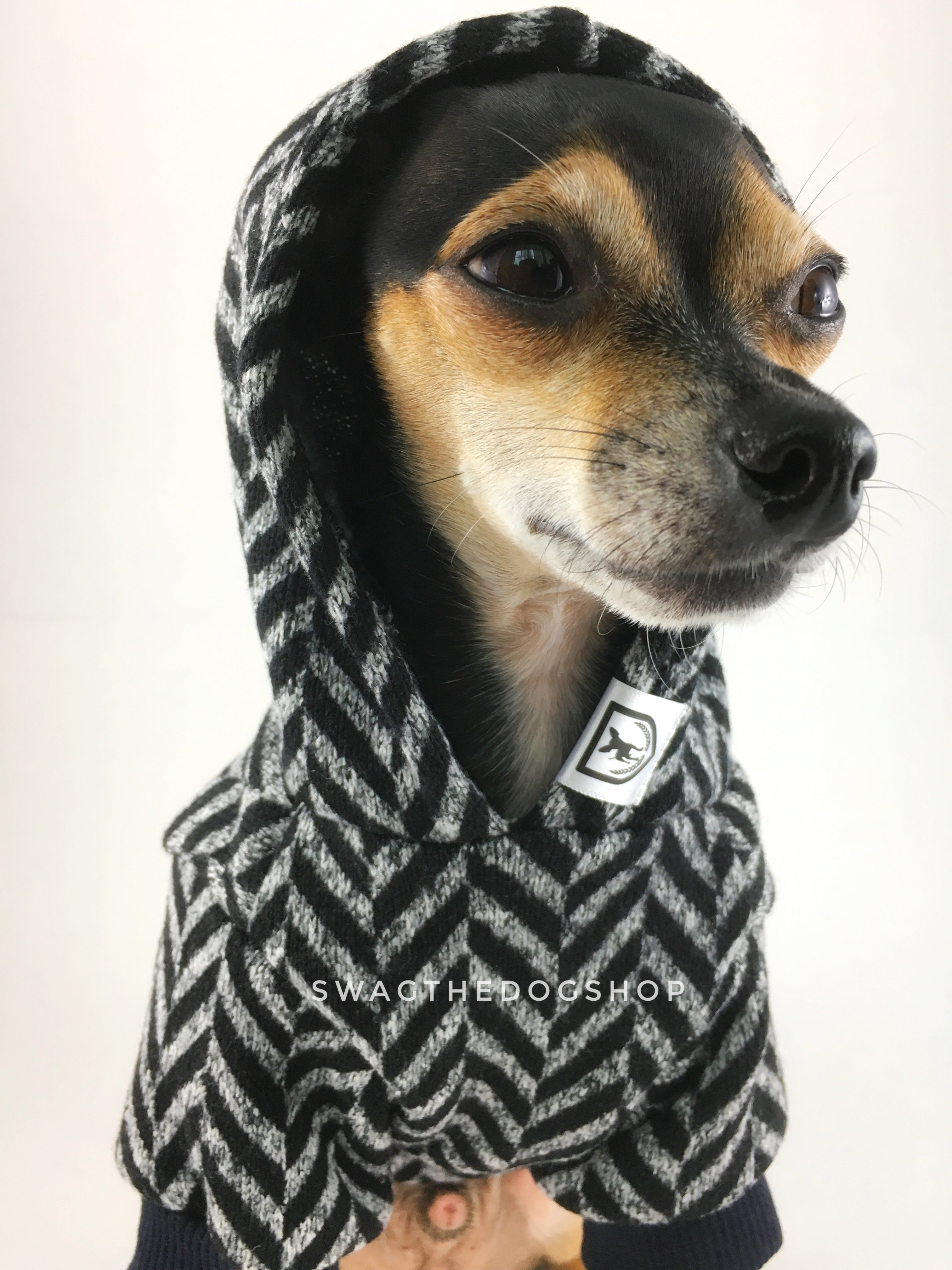 Après Ski Black Hoodie - Cute Chihuahua Dog Wearing Hoodie with Hood up. Black and Gray Herringbone Hoodie