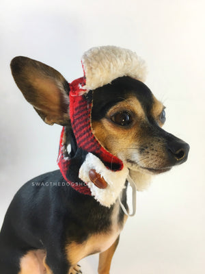 True North Aviator Hat. Side view of Hugo, black and tan Chihuahua wearing the hat. Hand-made with red plaid fleece fabric with sherpa inside, a hole for each ears, side flap with buttons on and a drawstring under the chin to adjust. The front bill is flipped back to show the sherpa fabric.