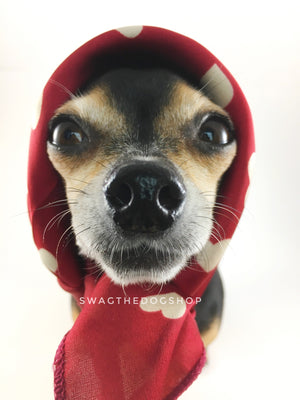 Full of Heart Red Swagdana Scarf - Bust of Cute Chihuahua Wearing Swagdana Scarf as Headscarf. Dog Bandana. Dog Scarf.