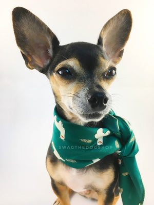 Lorenzo Llama Green Swagdana Scarf - Bust of Cute Chihuahua Wearing Swagdana Scarf as Neckerchief. Dog Bandana. Dog Scarf.
