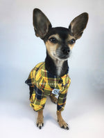 Bumble Bee Plaid Shirt - Full Front View of Cute Chihuahua Dog Wearing Shirt. Yellow and Black Plaid Shirt