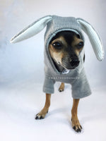 Gray Bunny Hoodie - Front View of Cute Chihuahua Dog Wearing Hoodie with Hood Up. Gray Bunny Hoodie with Pom Pom Tail