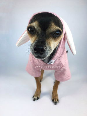 Pink Bunny Hoodie - Front View of Cute Chihuahua Dog Wearing Hoodie with Hood Up. Pink Bunny Hoodie with Pom Pom Tail