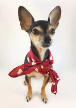 Full of Heart Red Swagdana Scarf - Full Front View of Cute Chihuahua Wearing Swagdana Scarf as Neck Scarf. Dog Bandana. Dog Scarf.