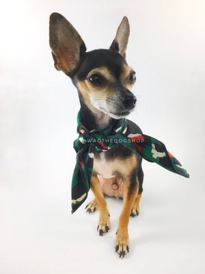 Fierce Forest Green with Red Swagdana Scarf - Full Frontal View of Cute Chihuahua Wearing Swagdana Scarf as Neck Scarf. Dog Bandana. Dog Scarf
