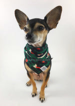 Fierce Forest Green with Red Swagdana Scarf - Full Frontal View of Cute Chihuahua Wearing Swagdana Scarf as Bandana. Dog Bandana. Dog Scarf